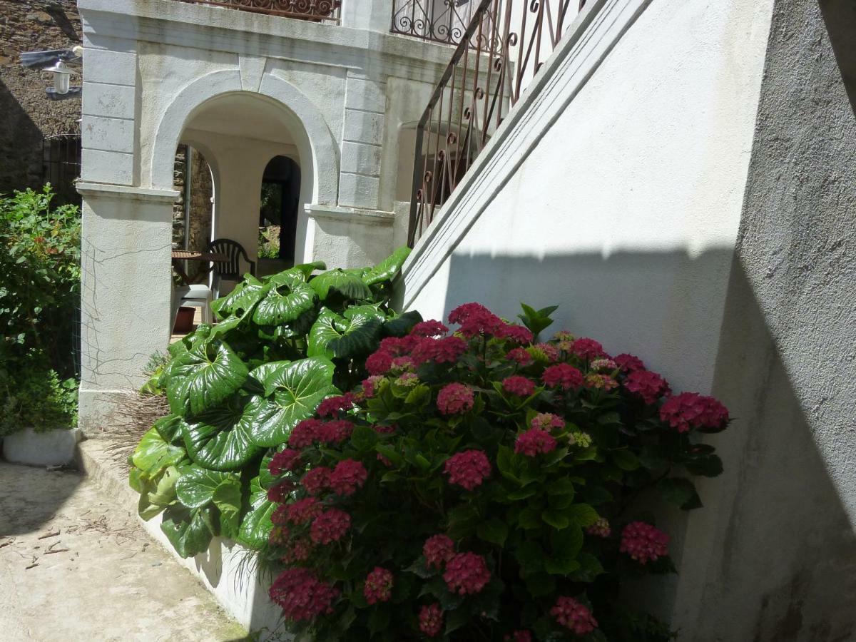 Bed and Breakfast Casale Lucrezia Cagnano Exterior foto